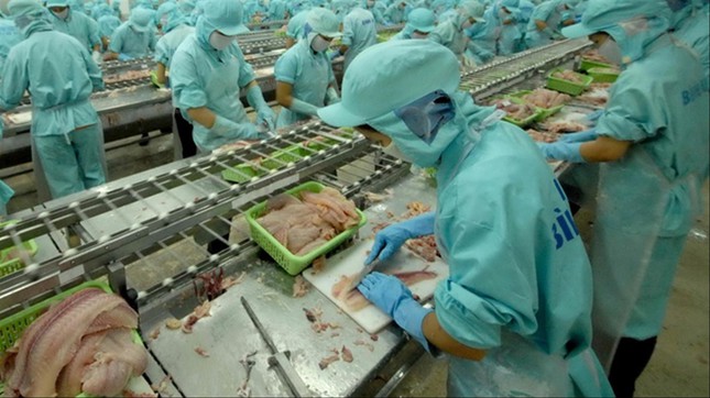 Pangasius opportunité d’augmenter les commandes vers l’Espagne